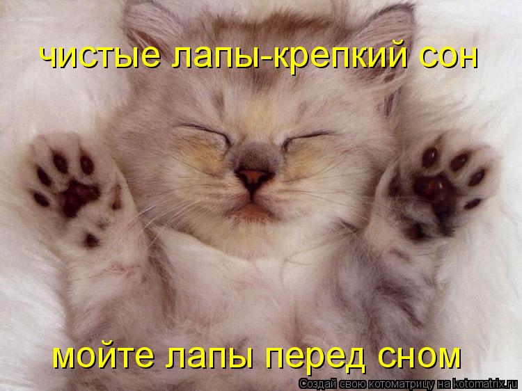 Котоматрица: мойте лапы перед сном чистые лапы-крепкий сон