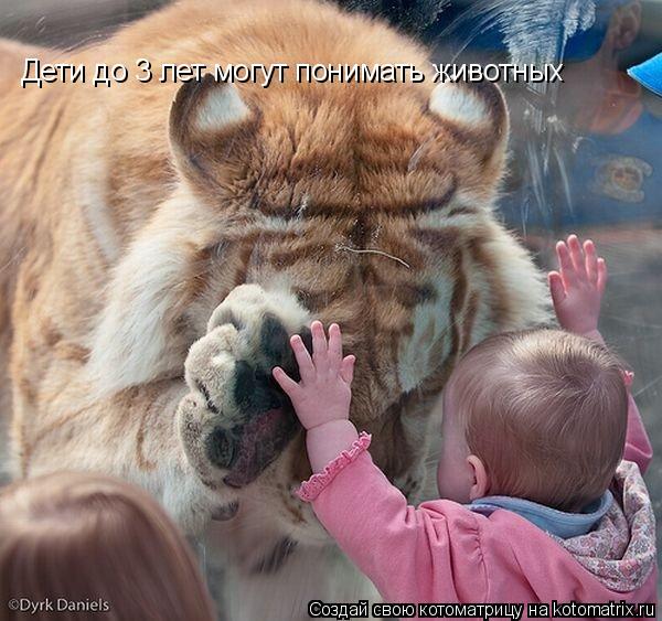 Дети до 3 лет могут понимать животных... Котоматрица: Дети до 3 лет могут понимать животных