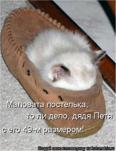 Маловата постелька, то ли дело, дядя Петя с его 49-м размером!... Котоматрица: Маловата постелька, то ли дело, дядя Петя с его 49-м размером!