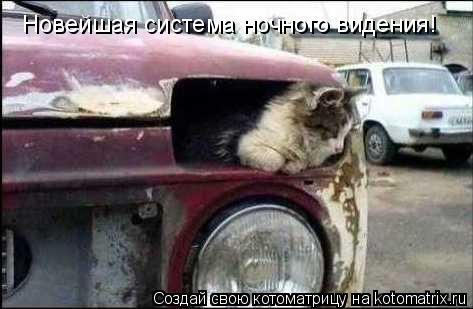 Новейшая система ночного видения!... Котоматрица: Новейшая система ночного видения!