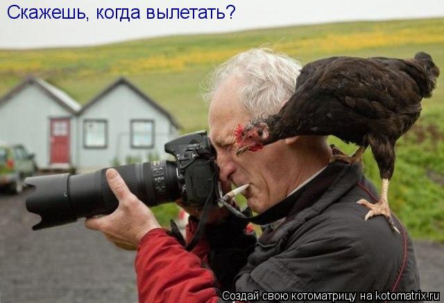 Скажешь, когда вылетать?... Котоматрица: Скажешь, когда вылетать?