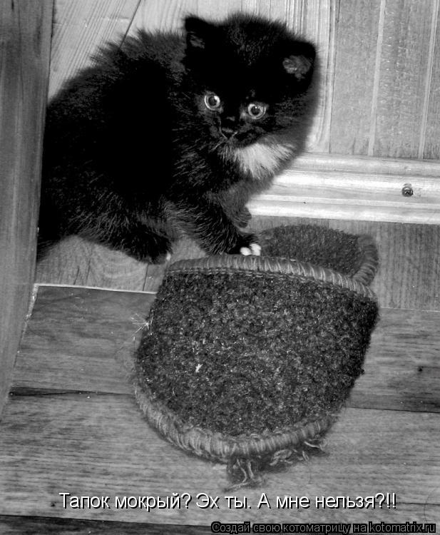 Тапок мокрый? Эх ты. А мне нельзя?!!... Котоматрица: Тапок мокрый? Эх ты. А мне нельзя?!!
