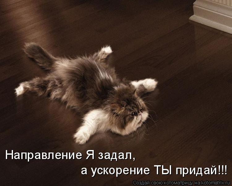 Направление Я задал, а ускорение ТЫ придай!!!... Котоматрица: Направление Я задал, а ускорение ТЫ придай!!!