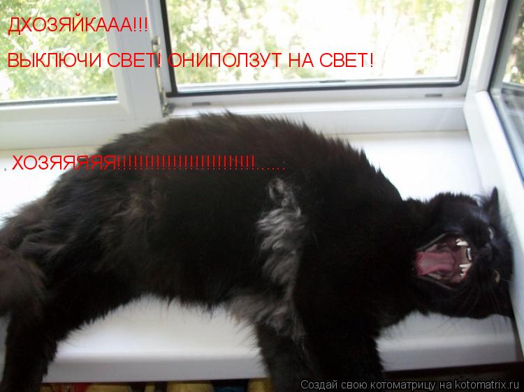ДХОЗЯЙКААА!!! ВЫКЛЮЧИ СВЕТ! ОНИПОЛЗУТ НА СВЕТ! ХОЗЯЯЯЯЯ!!!!!!!!!!!!!!!!!!!!!!!!!......... Котоматрица: ДХОЗЯЙКААА!!! ВЫКЛЮЧИ СВЕТ! ОНИПОЛЗУТ НА СВЕТ! ХОЗЯЯЯЯЯ!!!!!!!!!!!!!!!!!!!!!!!!!......
