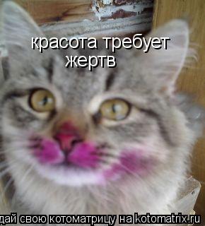 красота требует жертв... Котоматрица: красота требует жертв