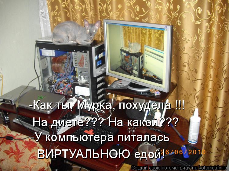 -Как ты, Мурка, похудела !!! На диете??? На какой??? -У компьютера питалась ВИРТУАЛЬНОЮ едой!... Котоматрица: -Как ты, Мурка, похудела !!! На диете??? На какой??? -У компьютера питалась ВИРТУАЛЬНОЮ едой!