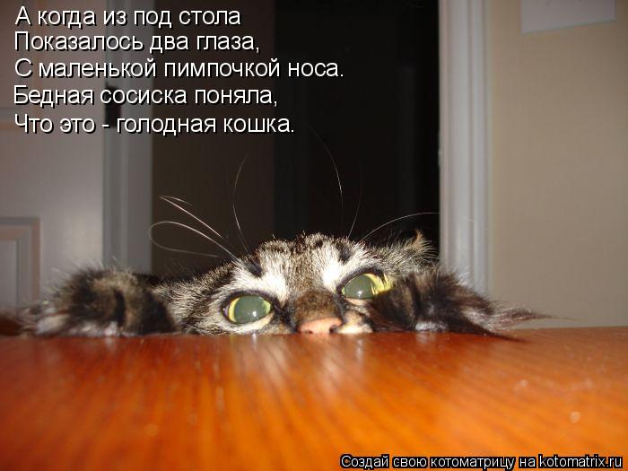 А когда из под стола Показалось два глаза, С маленькой пимпочкой носа. Бедная сосиска поняла, Что эт... Котоматрица: А когда из под стола Показалось два глаза, С маленькой пимпочкой носа. Бедная сосиска поняла, Что это - голодная кошка.