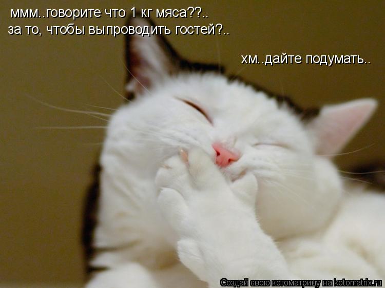 ммм..говорите что 1 кг мяса??.. за то, чтобы выпроводить гостей?.. хм..дайте подумать..... Котоматрица: ммм..говорите что 1 кг мяса??.. за то, чтобы выпроводить гостей?.. хм..дайте подумать..
