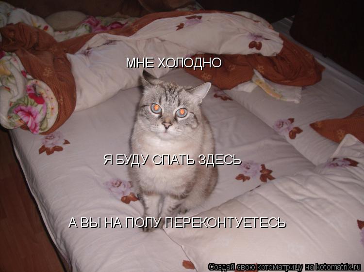 МНЕ ХОЛОДНО Я БУДУ СПАТЬ ЗДЕСЬ А ВЫ НА ПОЛУ ПЕРЕКОНТУЕТЕСЬ... Котоматрица: МНЕ ХОЛОДНО Я БУДУ СПАТЬ ЗДЕСЬ А ВЫ НА ПОЛУ ПЕРЕКОНТУЕТЕСЬ