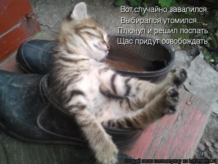 Вот,случайно завалился. Выбирался,утомился... Плюнул и решил поспать. Щас придут освобождать.... Котоматрица: Вот,случайно завалился. Выбирался,утомился... Плюнул и решил поспать. Щас придут освобождать.