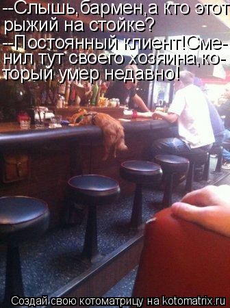 --Слышь,бармен,а кто этот рыжий на стойке? --Постоянный клиент!Сме- нил тут своего хозяина,ко- торый ... Котоматрица: --Слышь,бармен,а кто этот рыжий на стойке? --Постоянный клиент!Сме- нил тут своего хозяина,ко- торый умер недавно!