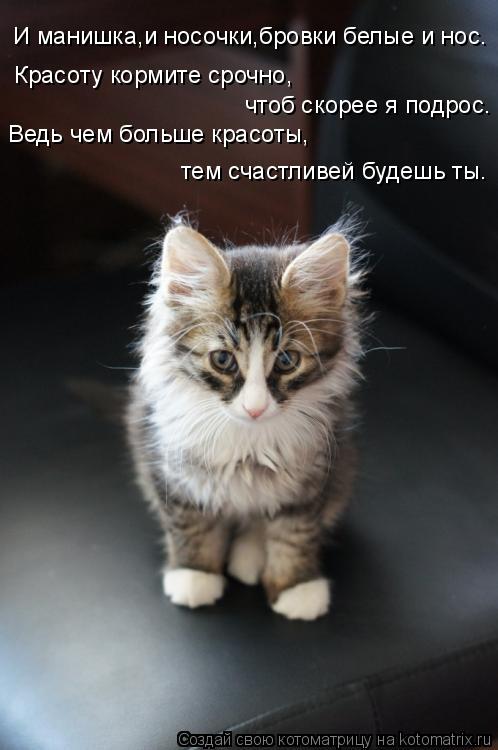 Игры Делаем макияж для девочек Гликолевый пилинг все что нужно знать, отзывы