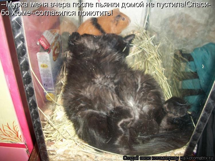 --Мурка меня вчера после пьянки домой не пустила!Спаси- бо Хоме--согласился приютить!... Котоматрица: --Мурка меня вчера после пьянки домой не пустила!Спаси- бо Хоме--согласился приютить!