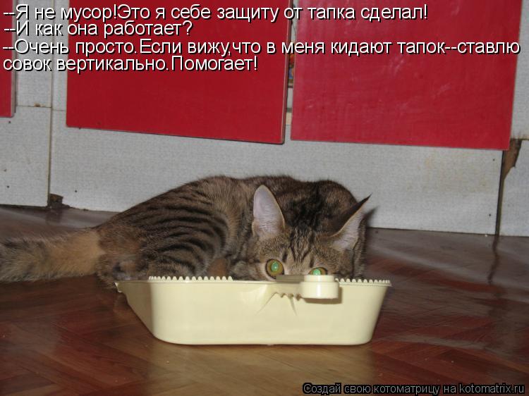 --Я не мусор!Это я себе защиту от тапка сделал! --И как она работает? --Очень просто.Если вижу,что в ... Котоматрица: --Я не мусор!Это я себе защиту от тапка сделал! --И как она работает? --Очень просто.Если вижу,что в меня кидают тапок--ставлю совок вертикально.