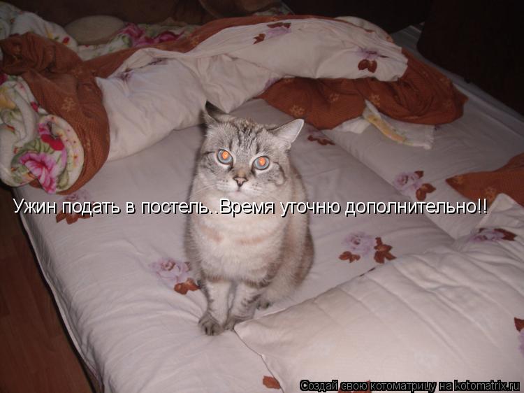 Котоматрица: Ужин подать в постель..Время уточню дополнительно!!