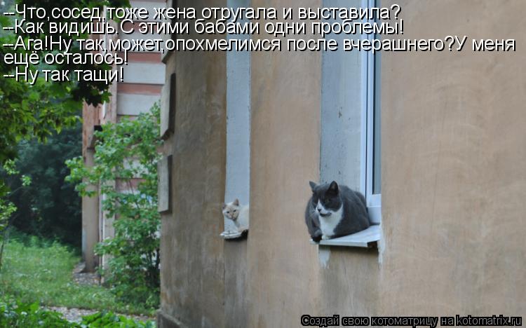 Котоматрица: --Что,сосед,тоже жена отругала и выставила? --Как видишь.С этими бабами одни проблемы! --Ага!Ну так,может,опохмелимся после вчерашнего?У меня е
