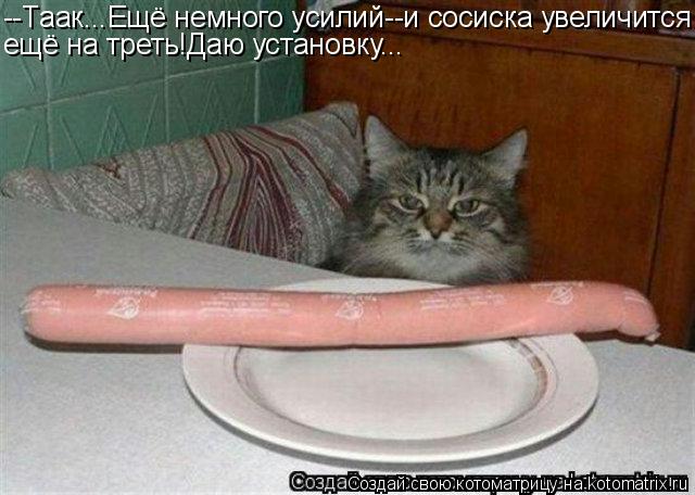 Котоматрица: --Таак...Ещё немного усилий--и сосиска увеличится ещё на треть!Даю установку...