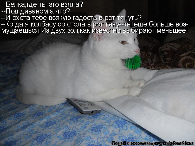 --Белка,где ты это взяла? --Под диваном,а что? --И охота тебе всякую гадость в рот тянуть? --Когда я ... Котоматрица: --Белка,где ты это взяла? --Под диваном,а что? --И охота тебе всякую гадость в рот тянуть? --Когда я колбасу со стола в рот тяну--ты ещё больше воз-