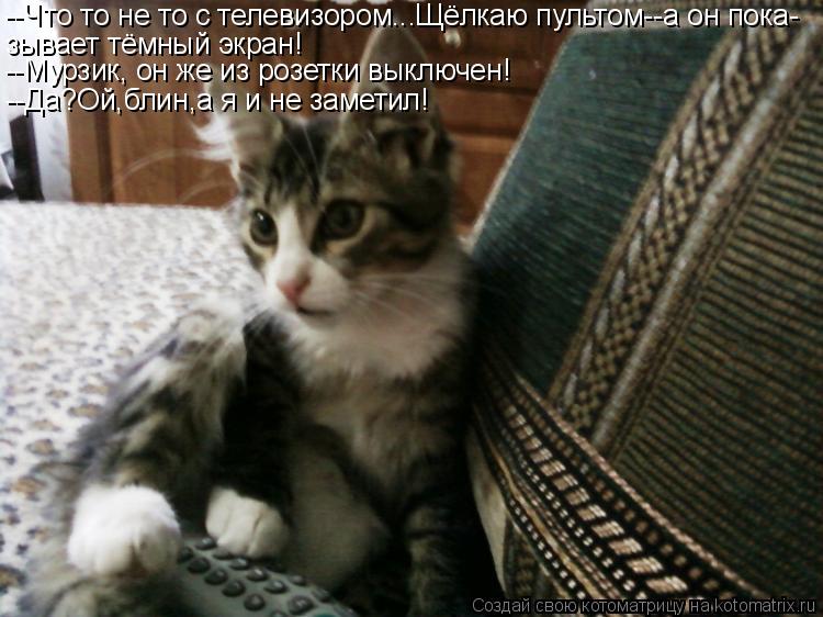 Котоматрица: --Что то не то с телевизором...Щёлкаю пультом--а он пока- зывает тёмный экран! --Мурзик, он же из розетки выключен! --Да?Ой,блин,а я и не заметил!