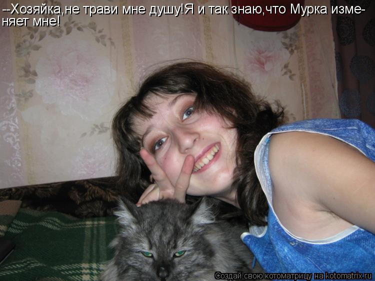Котоматрица: няет мне! --Хозяйка,не трави мне душу!Я и так знаю,что Мурка изме-