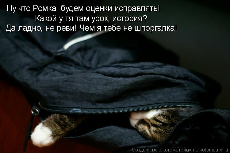 Котоматрица: Ну что Ромка, будем оценки исправлять! Какой у тя там урок, история? Да ладно, не реви! Чем я тебе не шпоргалка!