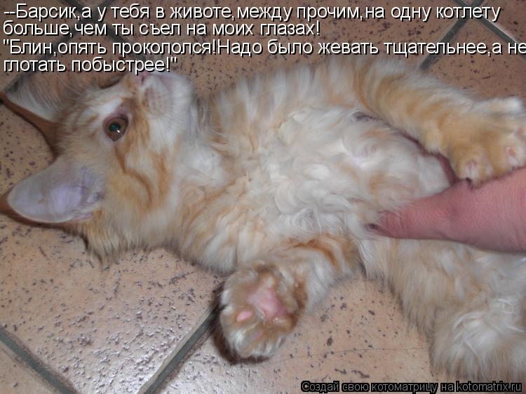 Котоматрица: --Барсик,а у тебя в животе,между прочим,на одну котлету больше,чем ты съел на моих глазах! "Блин,опять прокололся!Надо было жевать тщательнее,