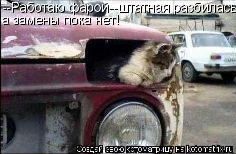 Котоматрица: --Работаю фарой--штатная разбилась, а замены пока нет!