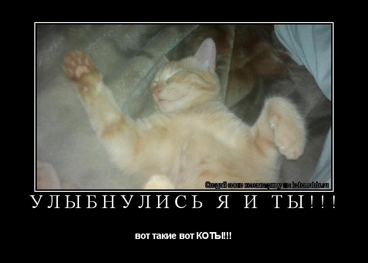 Улыбнулись я и ты!!! вот такие вот КОТЫ!!!... Котоматрица: Улыбнулись я и ты!!! вот такие вот КОТЫ!!!