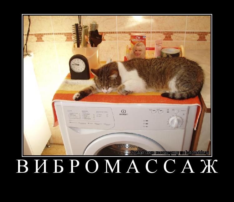 ВИБРОМАССАЖ ... Котоматрица: ВИБРОМАССАЖ