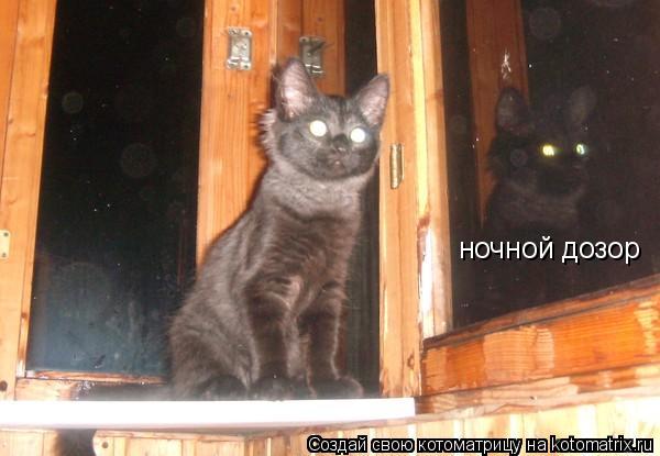 ночной дозор... Котоматрица: ночной дозор