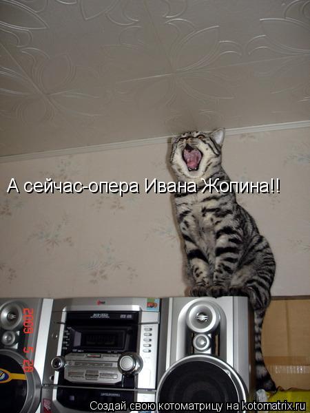 А сейчас-опера Ивана Жопина!!... Котоматрица: А сейчас-опера Ивана Жопина!!