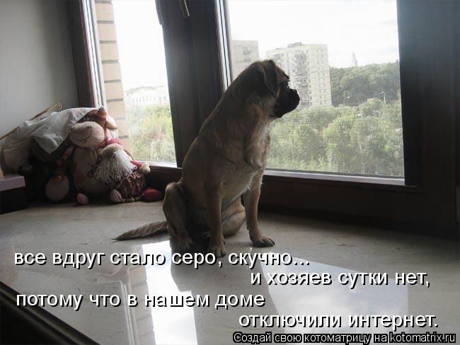 все вдруг стало серо, скучно... и хозяев сутки нет, потому что в нашем доме отключили интернет.... Котоматрица: все вдруг стало серо, скучно... и хозяев сутки нет, потому что в нашем доме отключили интернет.