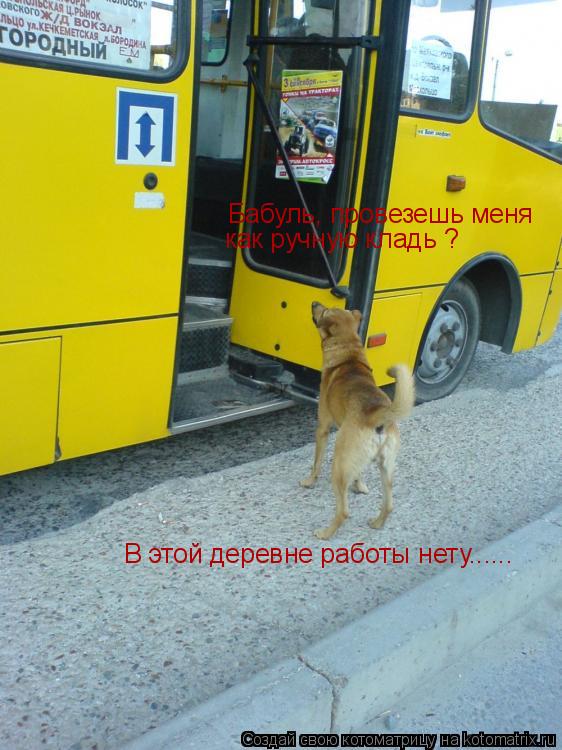 Бабуль, провезешь меня как ручную кладь ? В этой деревне работы нету......... Котоматрица: Бабуль, провезешь меня как ручную кладь ? В этой деревне работы нету......