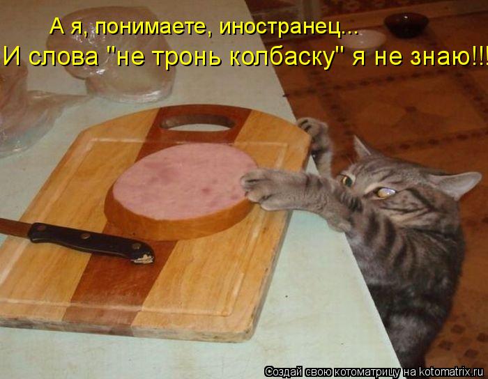 А я, понимаете, иностранец... И слова "не тронь колбаску" я не знаю!!!... Котоматрица: А я, понимаете, иностранец... И слова "не тронь колбаску" я не знаю!!!