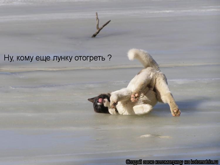 Ну, кому еще лунку отогреть ?... Котоматрица: Ну, кому еще лунку отогреть ?