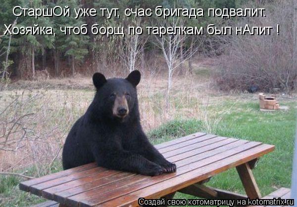 СтаршОй уже тут, счас бригада подвалит. Хозяйка, чтоб борщ по тарелкам был нАлит !... Котоматрица: СтаршОй уже тут, счас бригада подвалит. Хозяйка, чтоб борщ по тарелкам был нАлит !