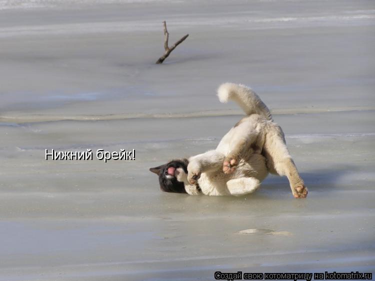Нижний брейк!... Котоматрица: Нижний брейк!