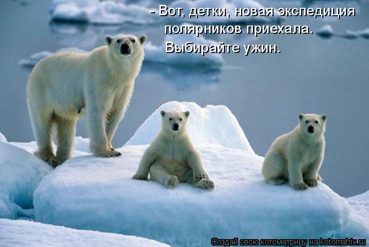 - Вот, детки, новая экспедиция полярников приехала. Выбирайте ужин.... Котоматрица: - Вот, детки, новая экспедиция полярников приехала. Выбирайте ужин.