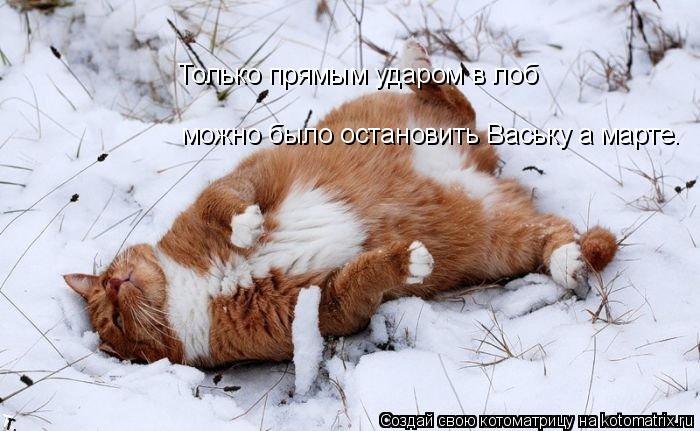 Только прямым ударом в лоб можно было остановить Ваську а марте.... Котоматрица: Только прямым ударом в лоб можно было остановить Ваську а марте.