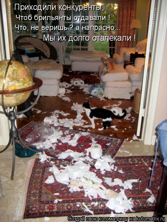 Приходили конкуренты, Чтоб брильянты отдавали ! Что, не веришь ? а напрасно... Мы их долго отвлекали ... Котоматрица: Приходили конкуренты, Чтоб брильянты отдавали ! Что, не веришь ? а напрасно... Мы их долго отвлекали !