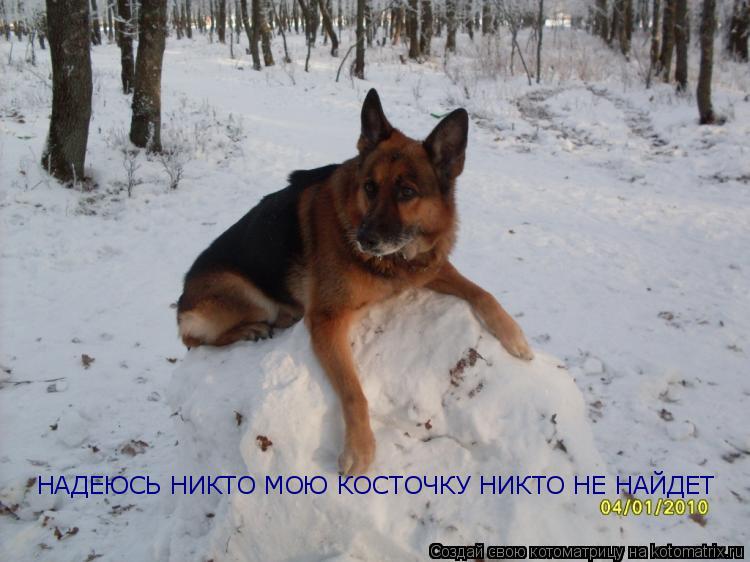 НАДЕЮСЬ НИКТО МОЮ КОСТОЧКУ НИКТО НЕ НАЙДЕТ... Котоматрица: НАДЕЮСЬ НИКТО МОЮ КОСТОЧКУ НИКТО НЕ НАЙДЕТ