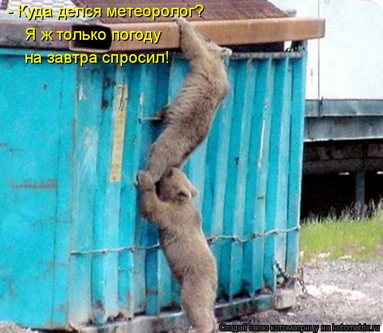 - Куда делся метеоролог? Я ж только погоду на завтра спросил!... Котоматрица: - Куда делся метеоролог? Я ж только погоду на завтра спросил!