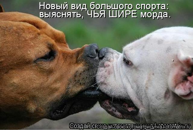 http://kotomatrix.ru/images/lolz/2011/09/15/992582.jpg