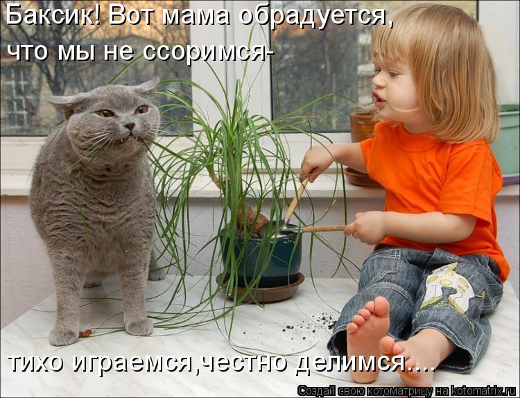 Баксик! Вот мама обрадуется, что мы не ссоримся- тихо играемся,честно делимся....... Котоматрица: Баксик! Вот мама обрадуется, что мы не ссоримся- тихо играемся,честно делимся....