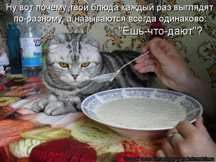 Ну вот почему твои блюда каждый раз выглядят по-разному, а называются всегда одинаково: "Ешь-что-дают... Котоматрица: Ну вот почему твои блюда каждый раз выглядят по-разному, а называются всегда одинаково: "Ешь-что-дают"?