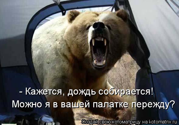 - Кажется, дождь собирается! Можно я в вашей палатке пережду?... Котоматрица: - Кажется, дождь собирается! Можно я в вашей палатке пережду?