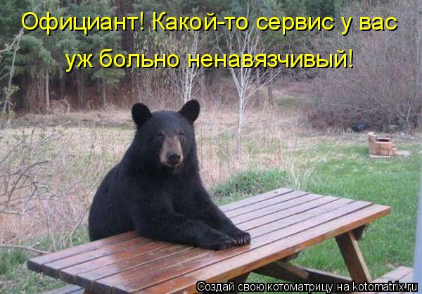 Официант! Какой-то сервис у вас уж больно ненавязчивый!... Котоматрица: Официант! Какой-то сервис у вас уж больно ненавязчивый!