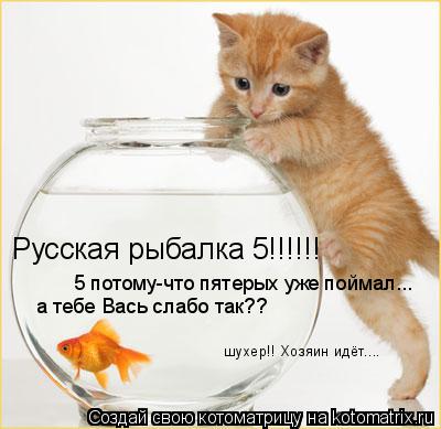 Русская рыбалка 5!!!!!! 5 потому-что пятерых уже поймал... а тебе Вась слабо так?? шухер!! Хозяин идё... Котоматрица: Русская рыбалка 5!!!!!! 5 потому-что пятерых уже поймал... а тебе Вась слабо так?? шухер!! Хозяин идёт....