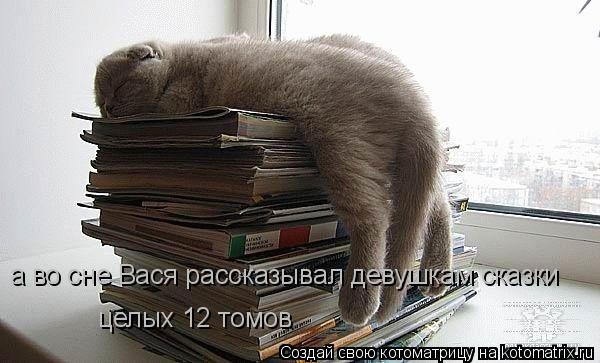 а во сне Вася рассказывал девушкам сказки целых 12 томов... Котоматрица: а во сне Вася рассказывал девушкам сказки целых 12 томов