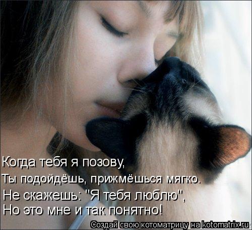 Ты подойдёшь, прижмёшься мягко. Не скажешь: "Я тебя люблю", Но это мне и так понятно! Когда тебя я по... Котоматрица: Ты подойдёшь, прижмёшься мягко. Не скажешь: "Я тебя люблю", Но это мне и так понятно! Когда тебя я позову,